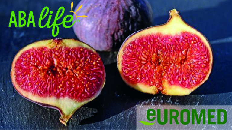 New Human Study finds that Euromed’s ABAlife®, Fig Fruit Extract (FFE), Improves Glucose Tolerance/ Glycemic Index and Insulinemic Index