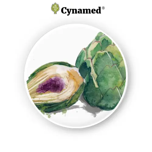 Artichoke bud extract