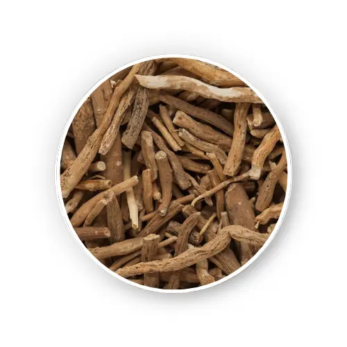 Ashwagandha root – Withania somnifera