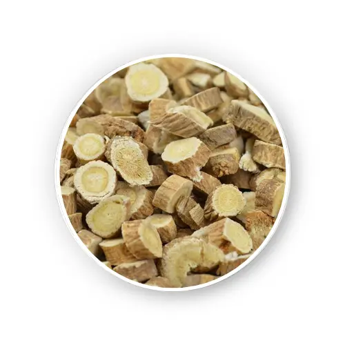 Astragalus root – Astragalus membranaceus