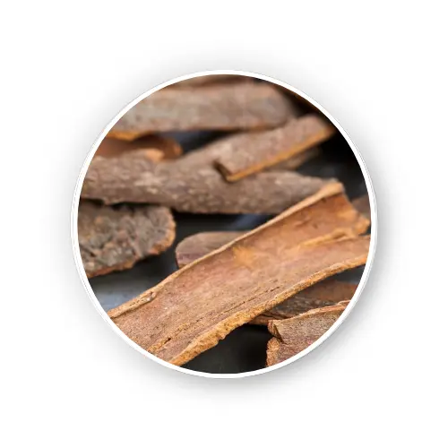 Cinnamon bark – Cinnamomun aromaticum Nees