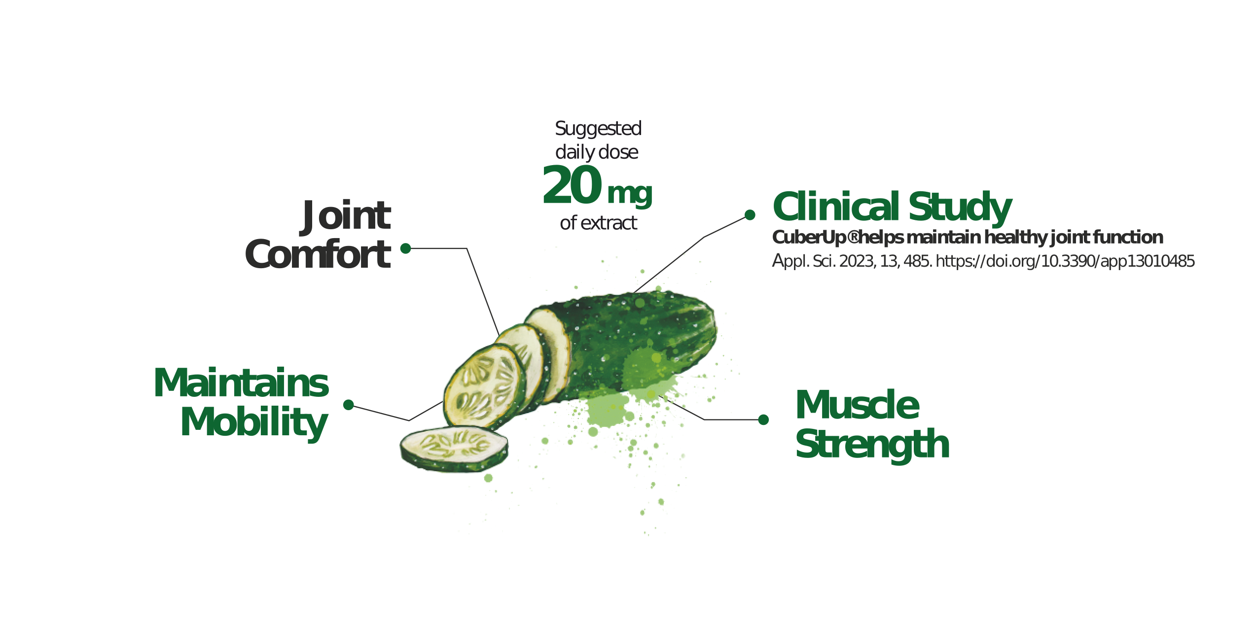 Cucumber fruit extract | Euromed