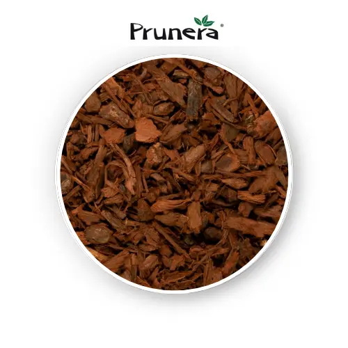 Pygeum bark Extract