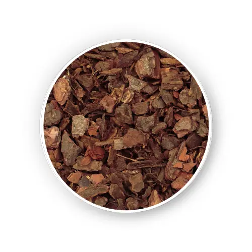 Pine bark – Dry Extract