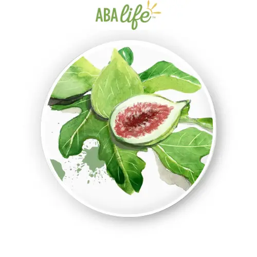 Fig fruit extract