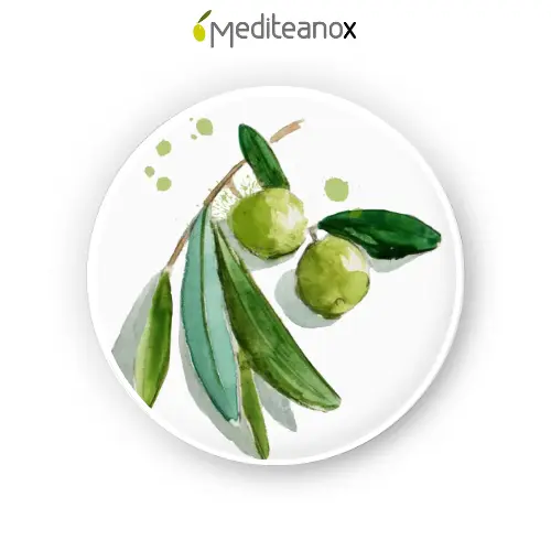 Olive fruit extract