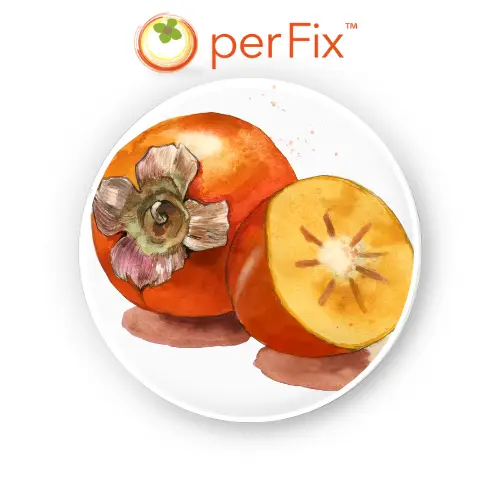 Persimmon extract  PerFix