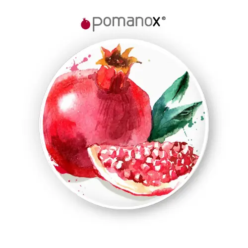 Pomegranate fruit extract